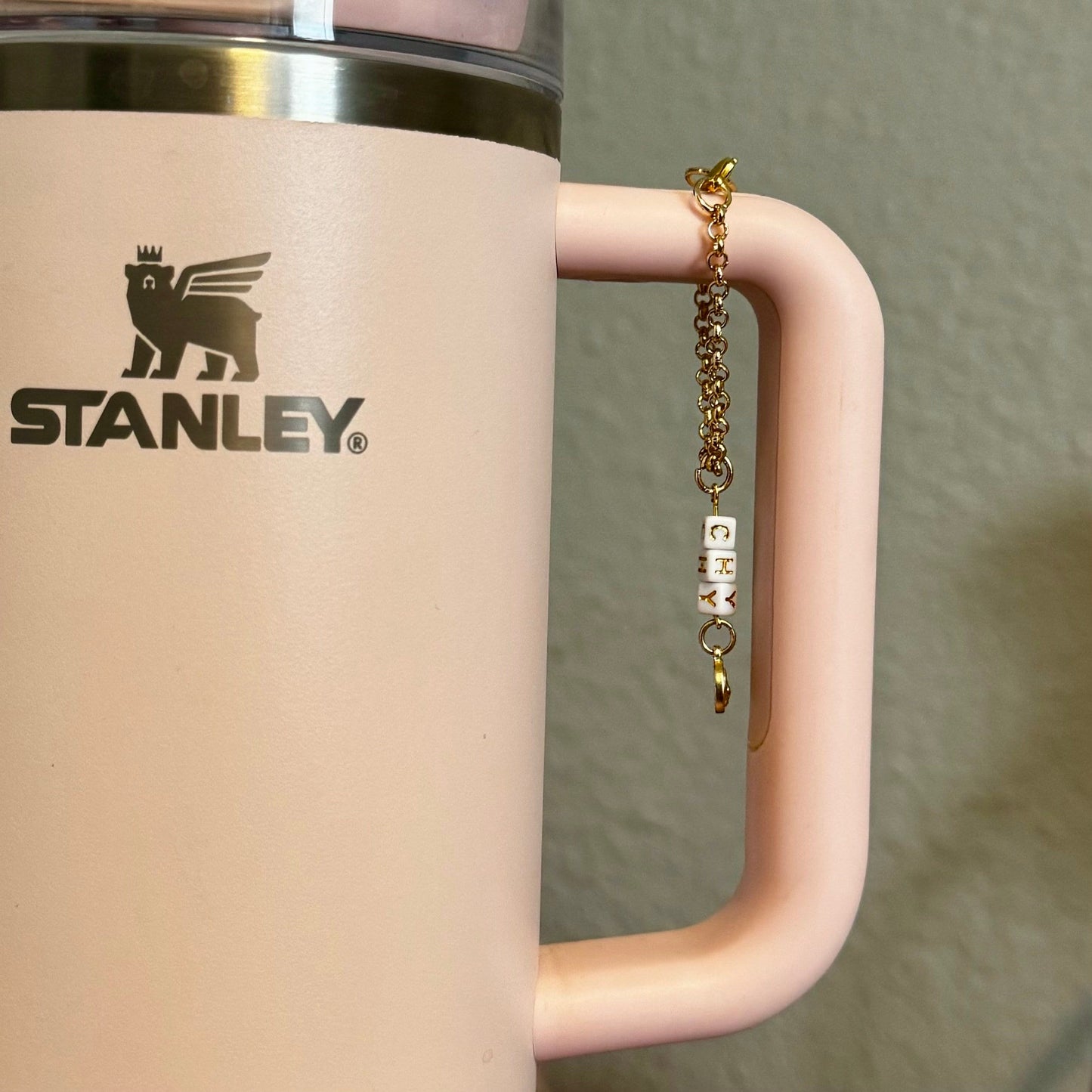 Custom Zodiac Stanley Charm